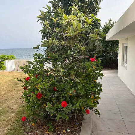 Loft Poetto بيت للعطل