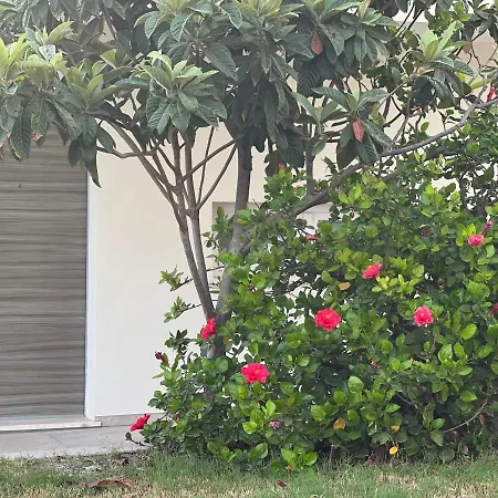 Loft Poetto Quartu SantʼElena